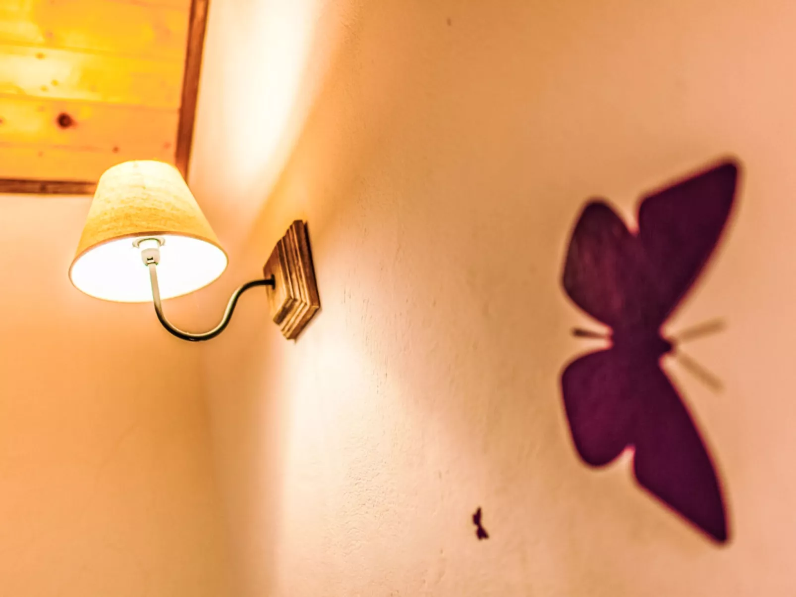 Natura with private pool - Binnen