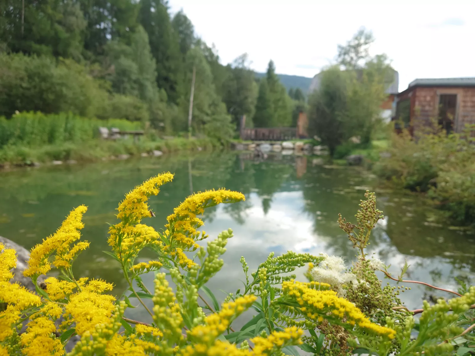 6_ALP - Samspitze 3 - Binnen