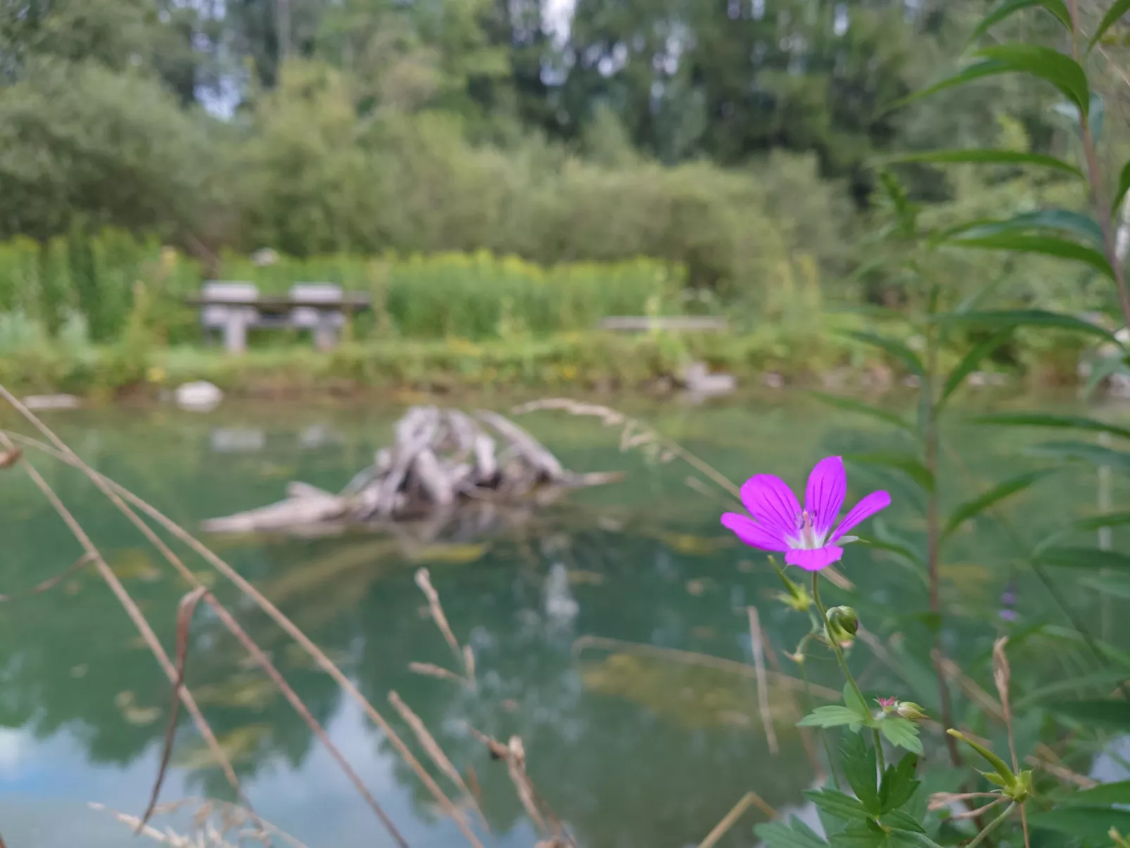 6_ALP - Samspitze 2 - Binnen