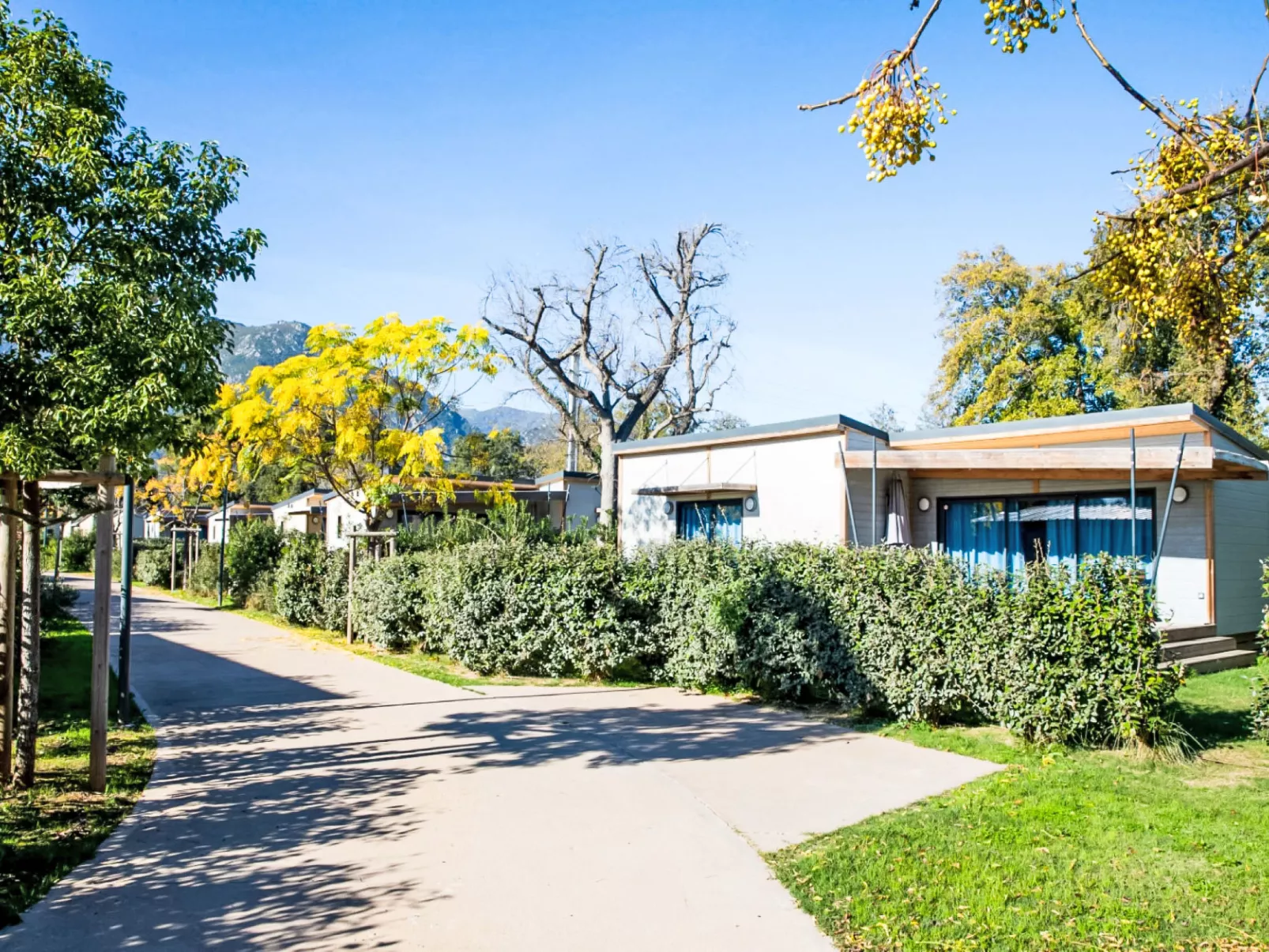 Lodge Natura 5p - Buiten