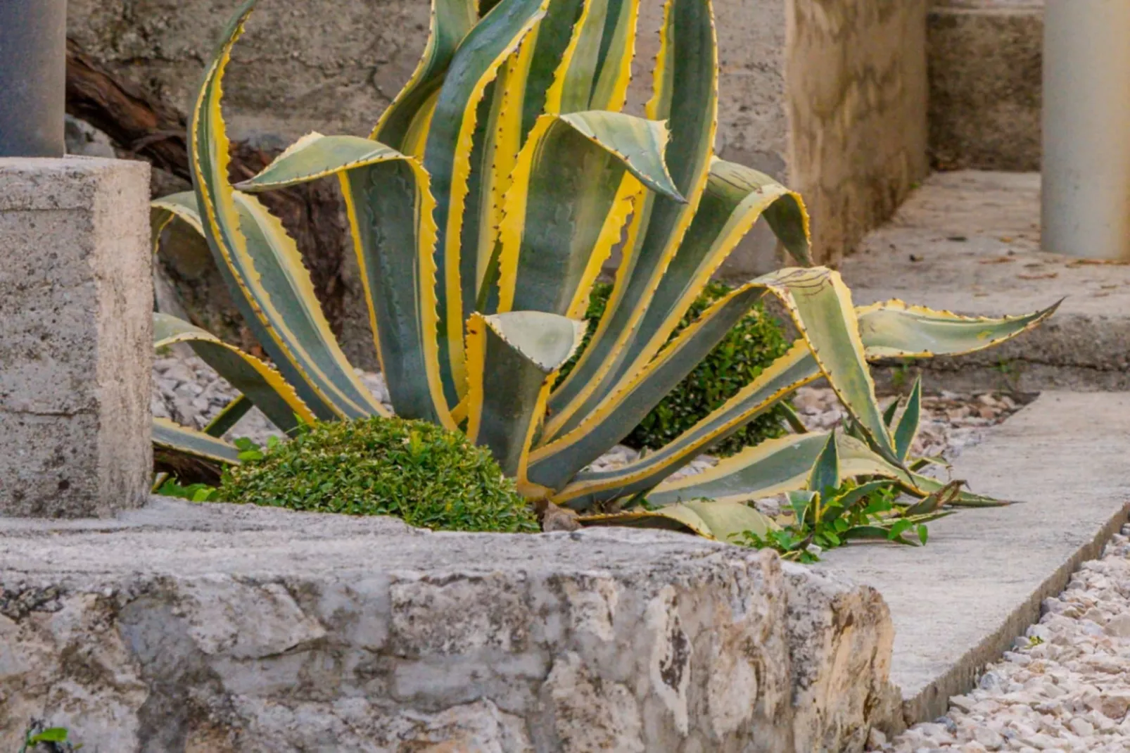 Villa Eden Dubrovnik - Six Bedroom Villa - Buitenlucht