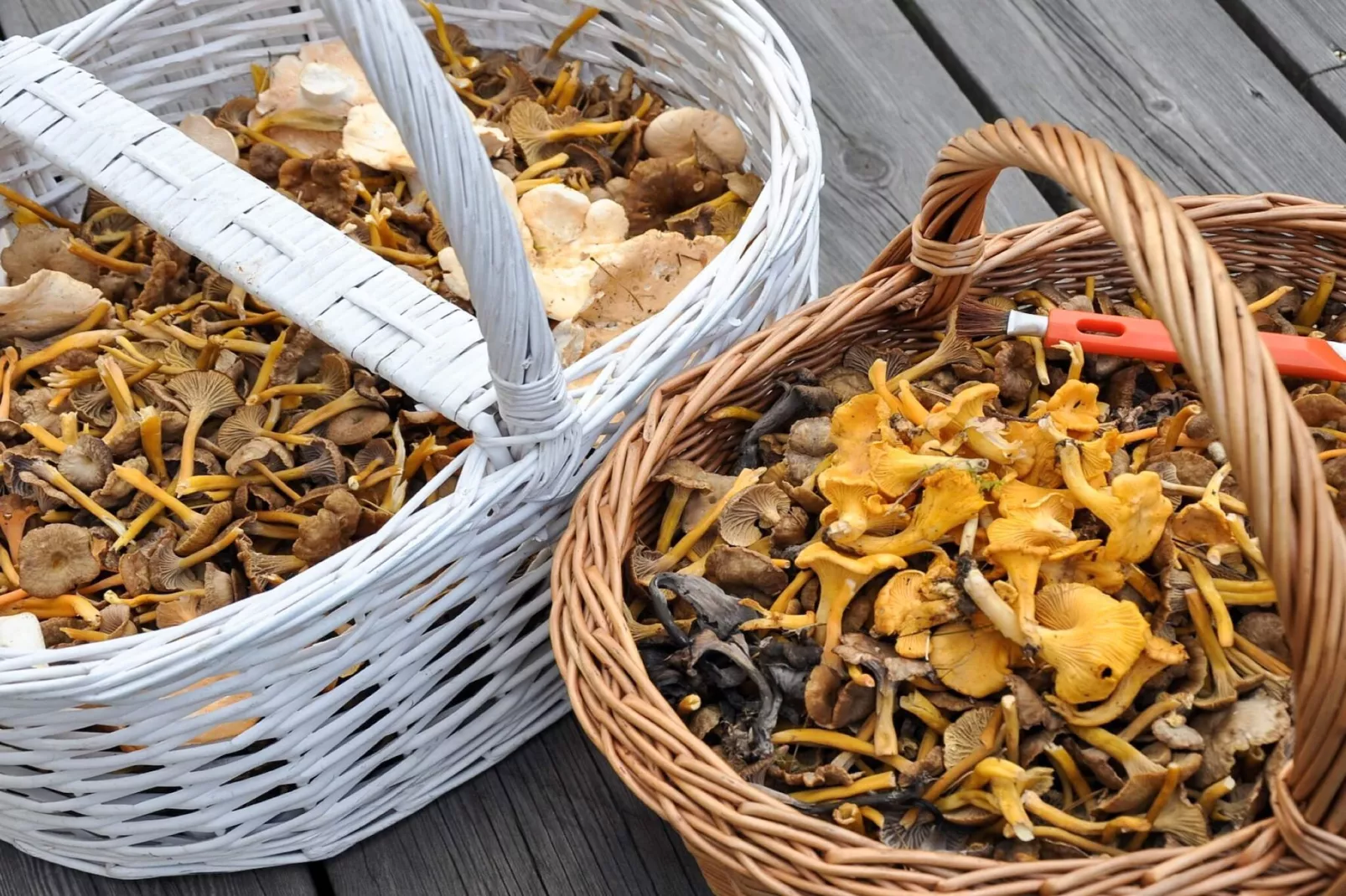 5 Personen vakantie huis in Årsunda - Niet-getagd