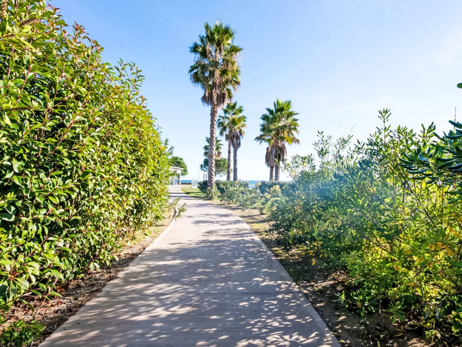 Lodge Natura 4p - Buiten