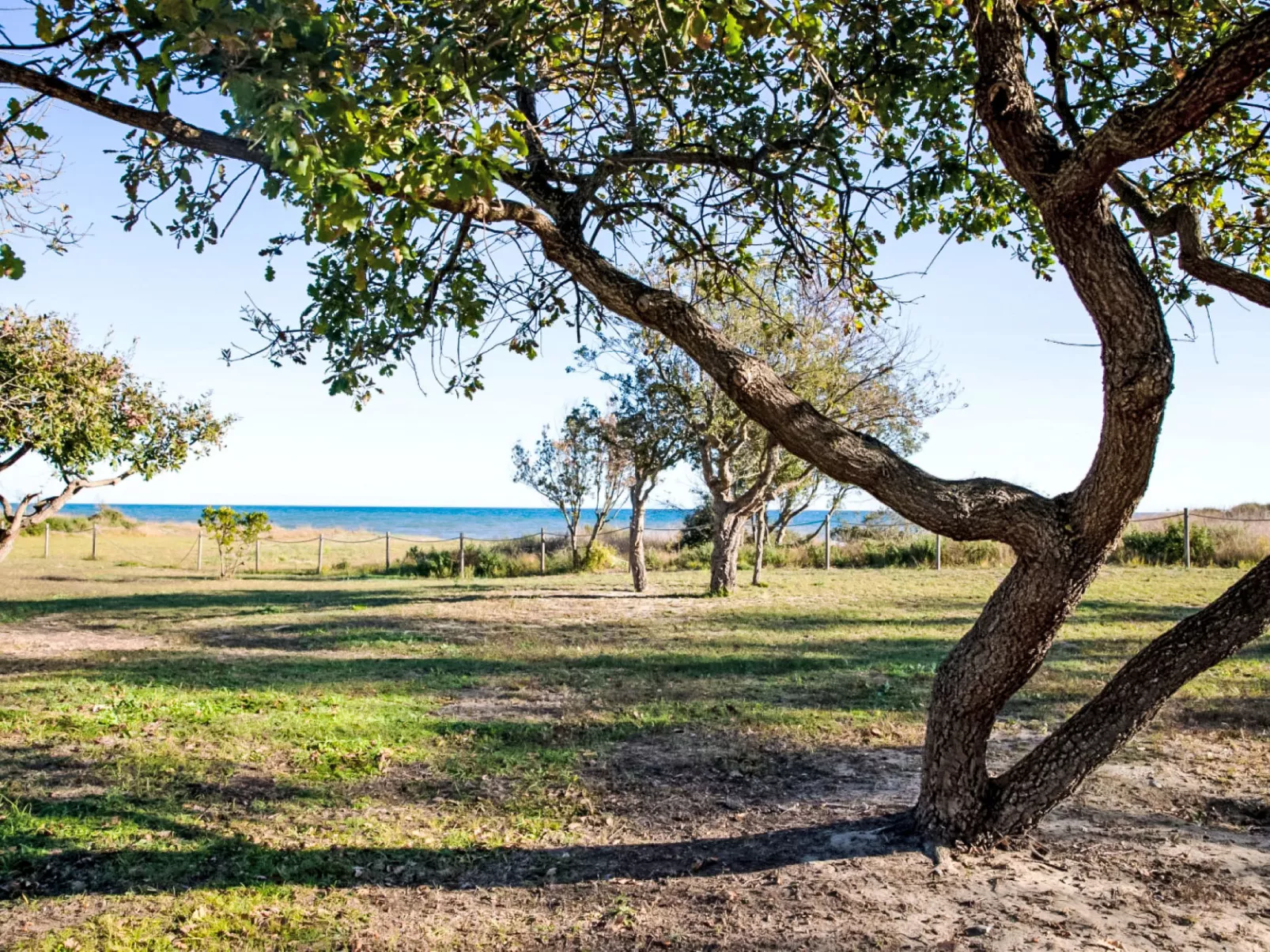 Lodge Natura 4p - Buiten