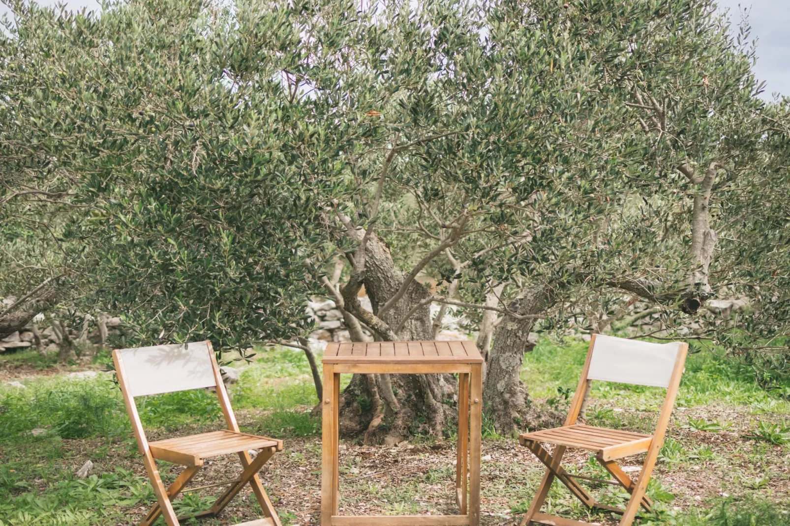 Adriatic Heritage Glamping No 1 - Tuinen zomer