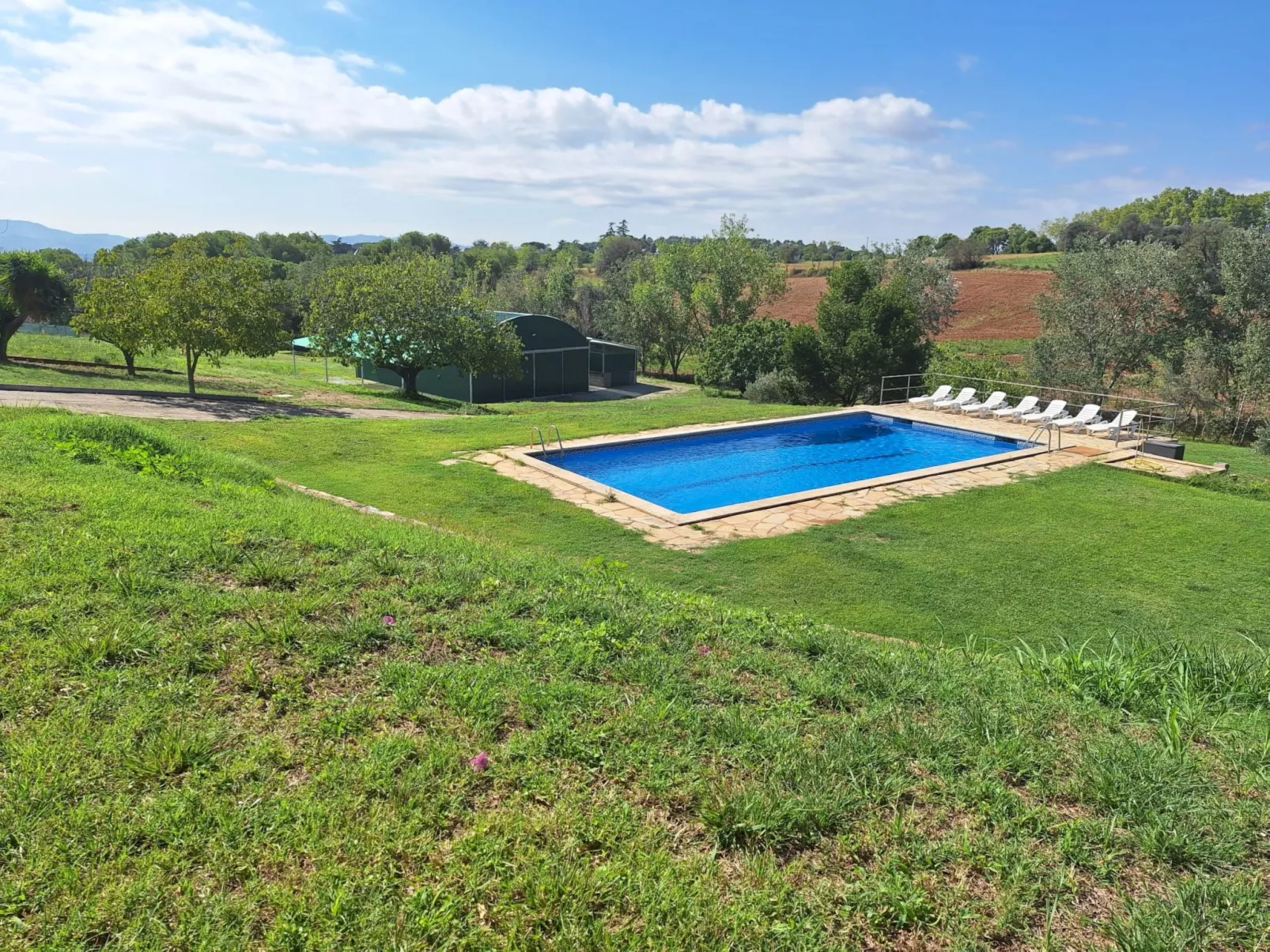 Finca el Olivar - Buiten