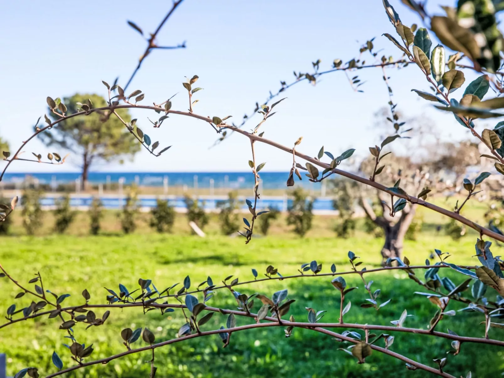 Lodge Premium 6p - Buiten