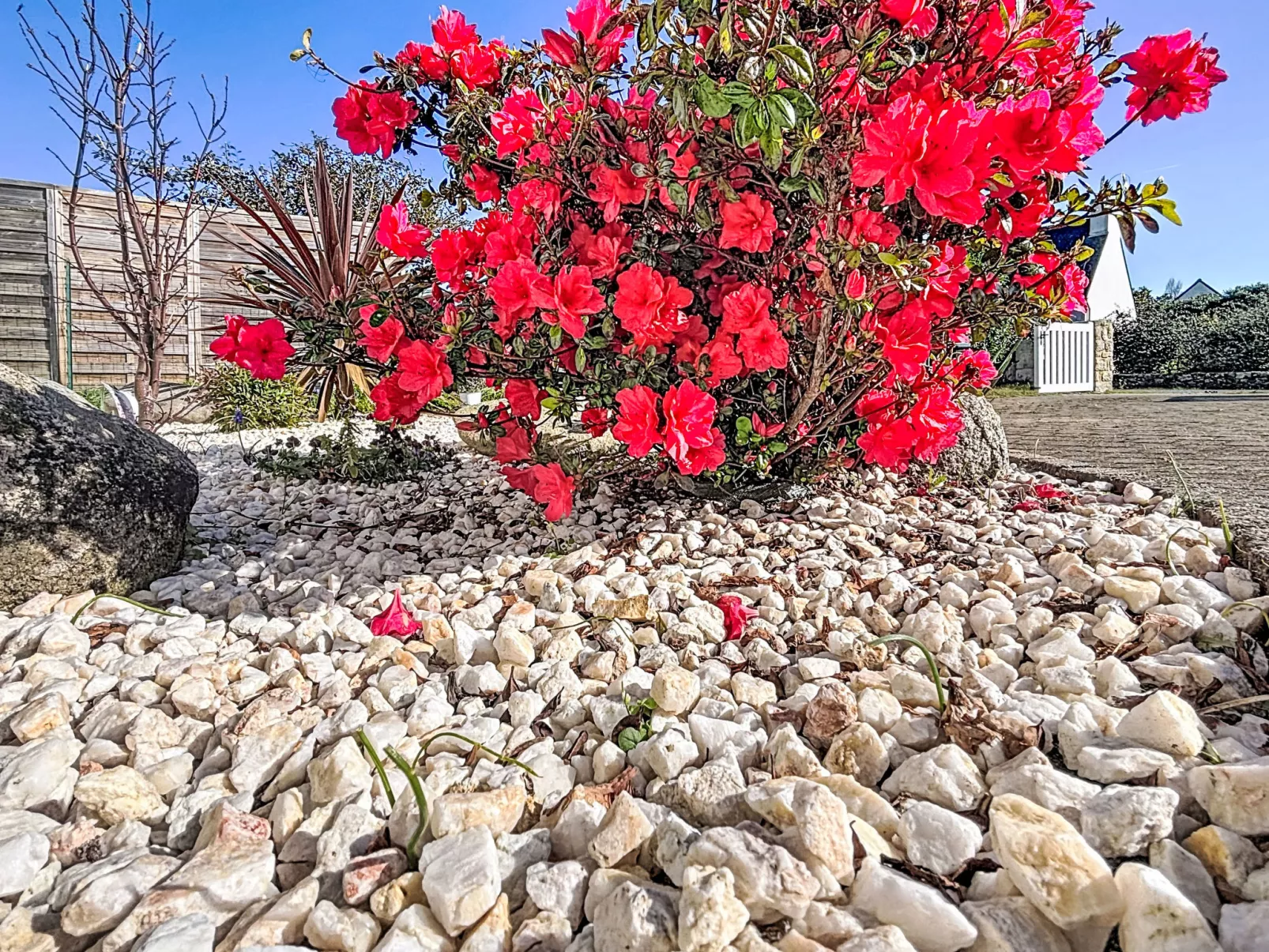 Maison Kervrazic - Buiten