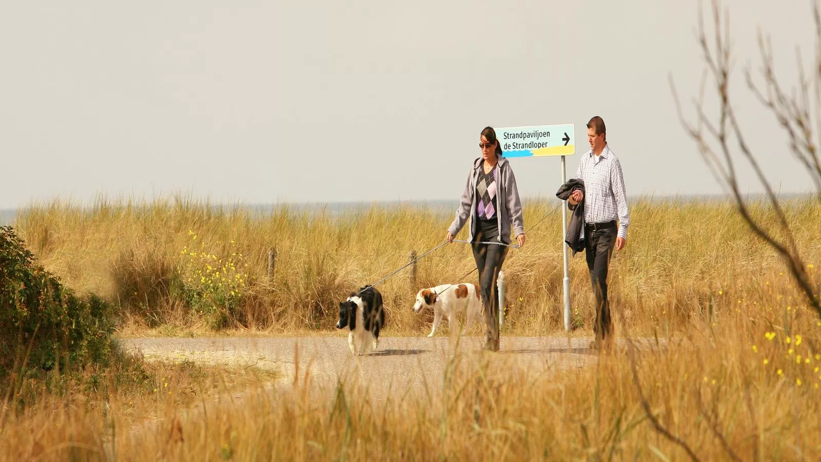 Maanvis-Gebieden zomer 1km