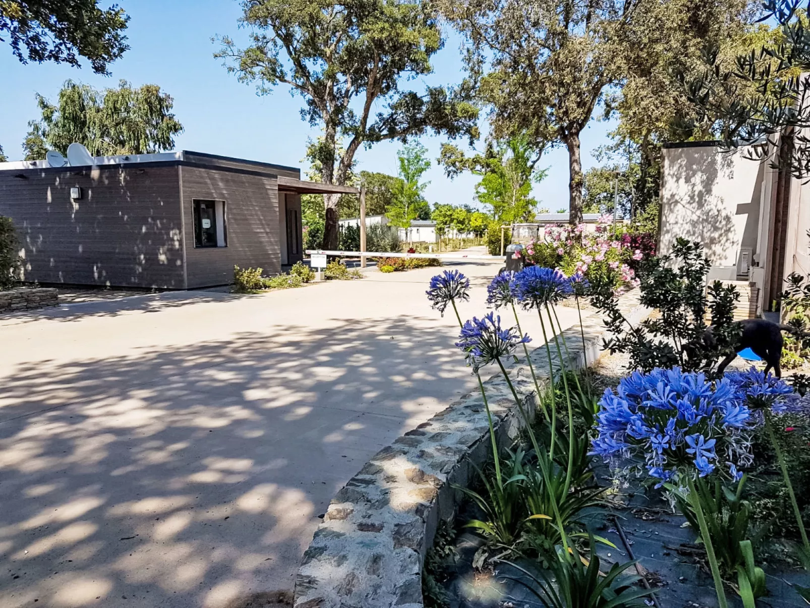 Lodge Natura 4p - Buiten