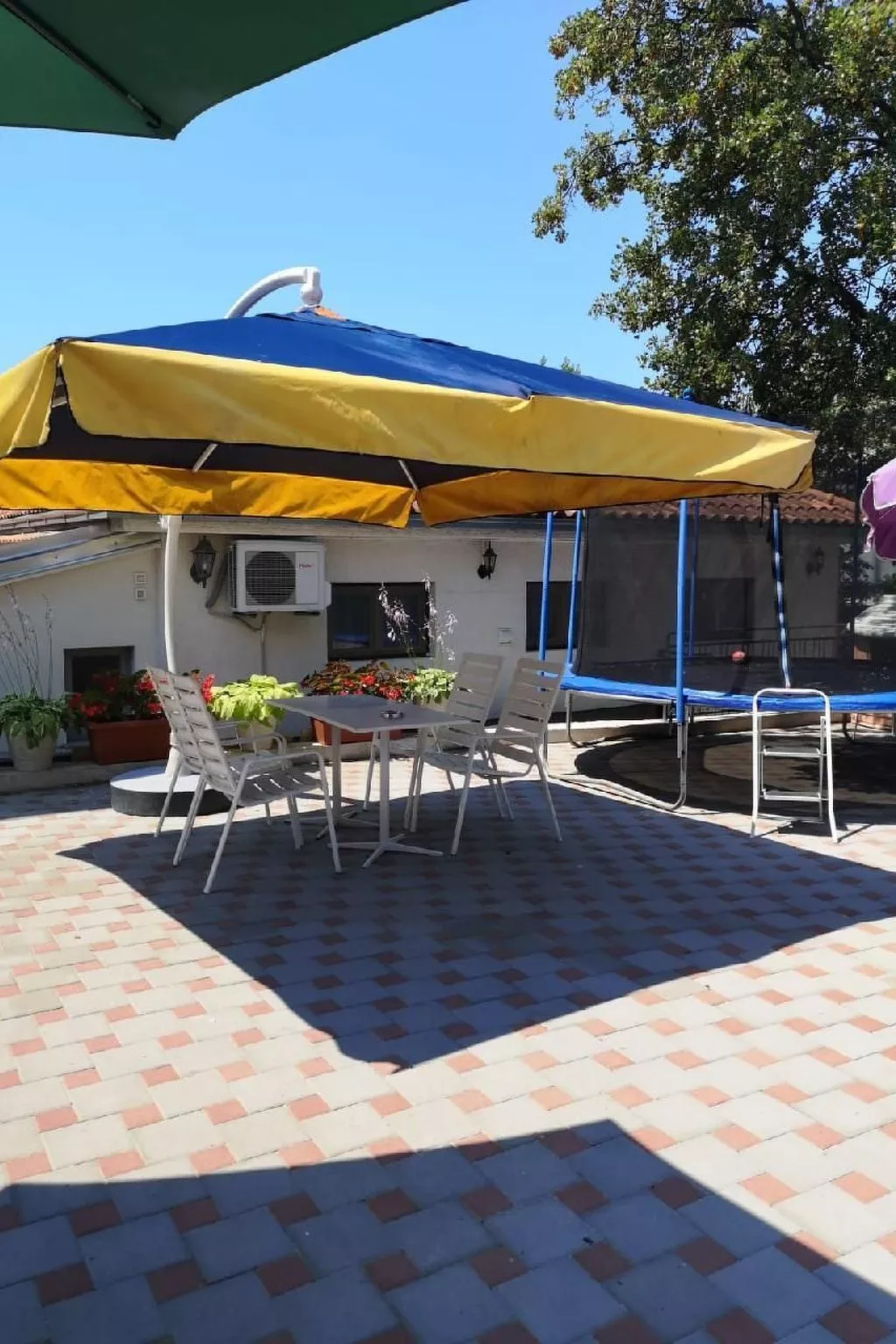 Ivanka2 - Image-tags.info