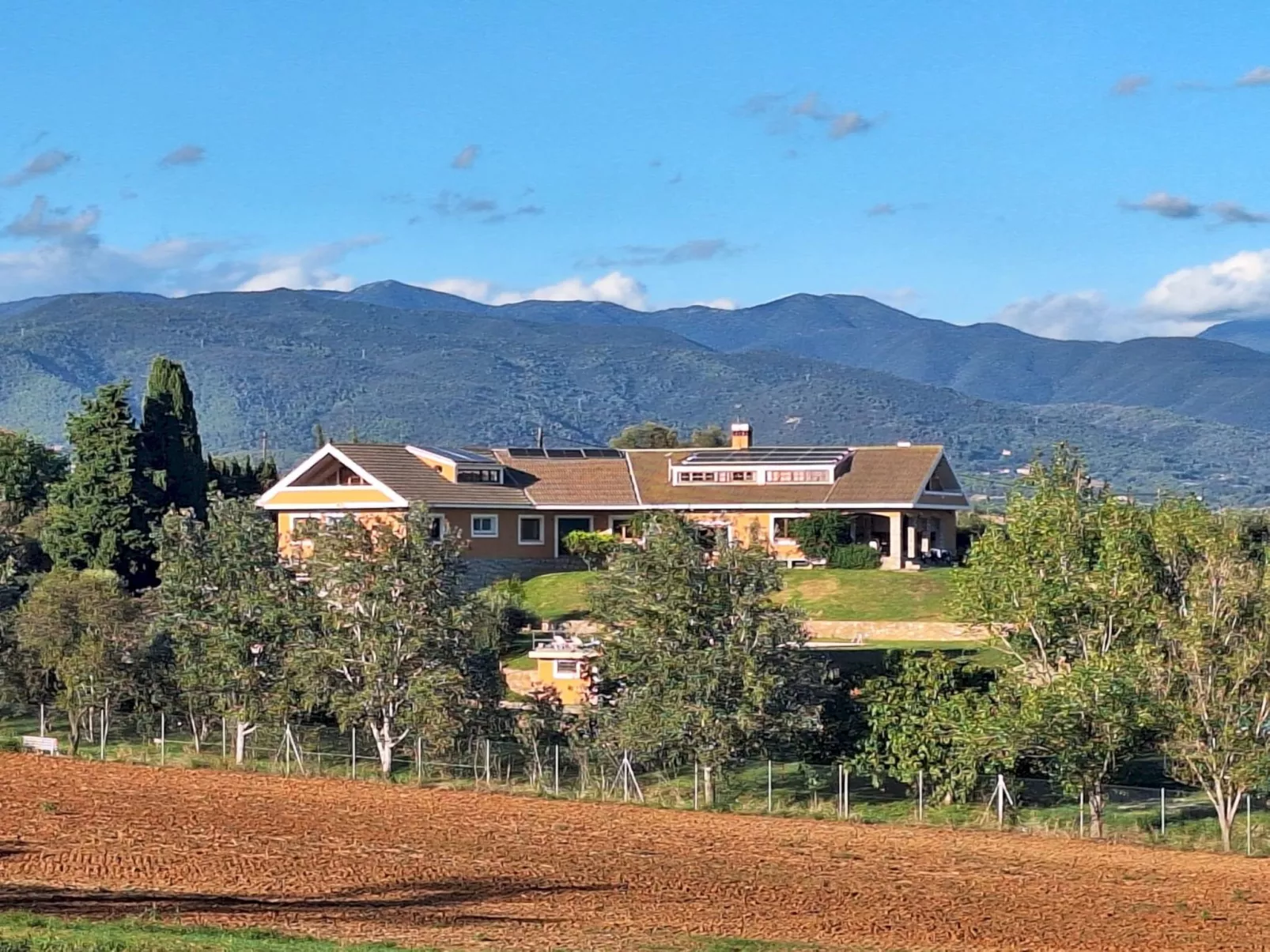 Finca el Olivar - Buiten