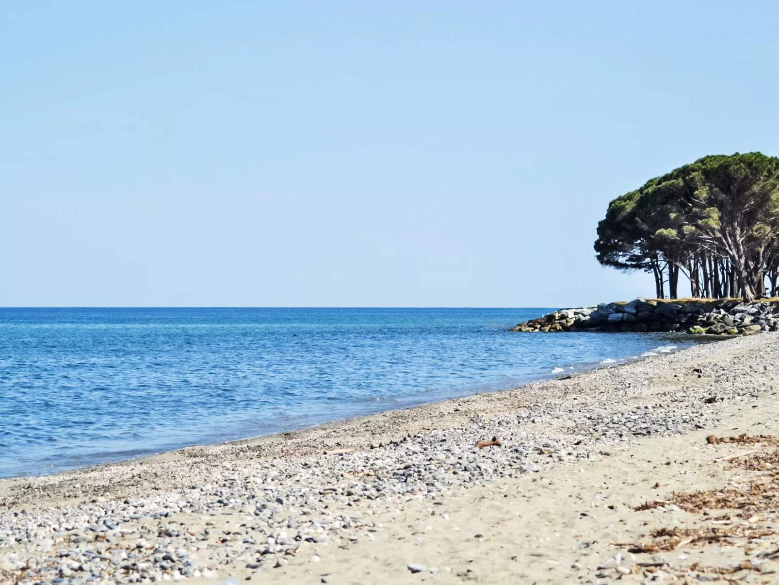 Lodge Natura 4p - Buiten