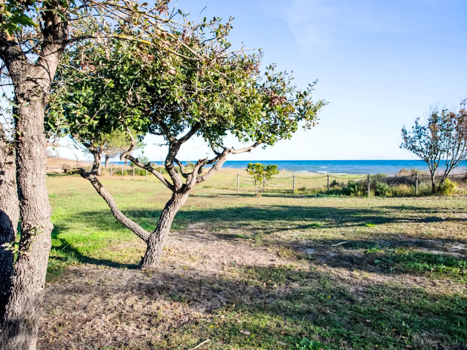 Lodge Premium 6p - Buiten