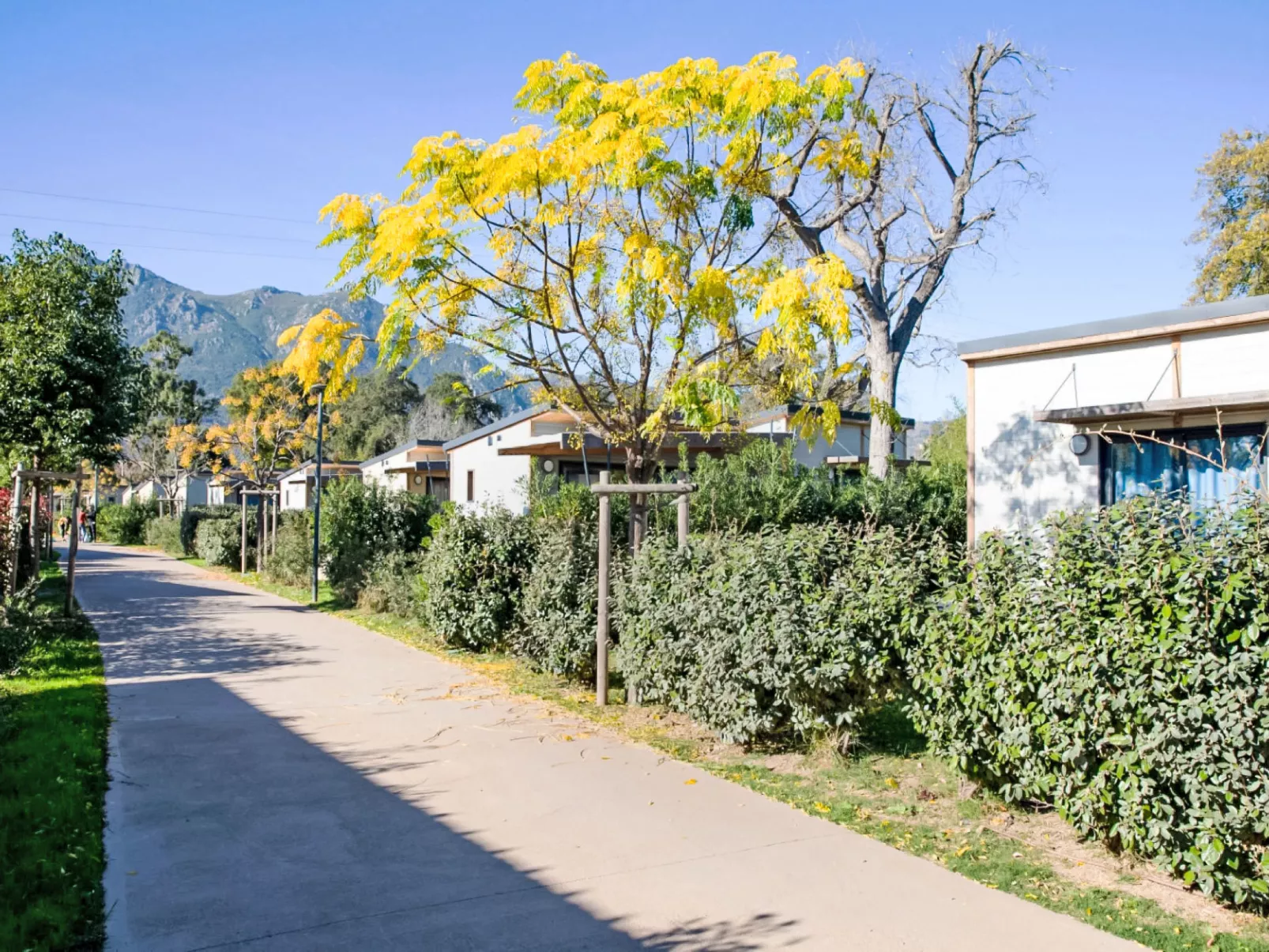 Lodge Premium 6p - Buiten