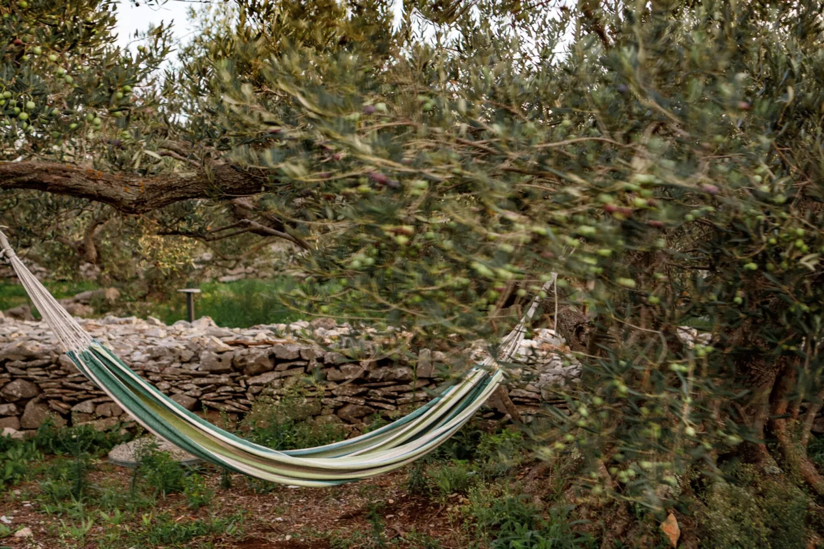 Adriatic Heritage Glamping No 1 - Gebieden zomer 1km