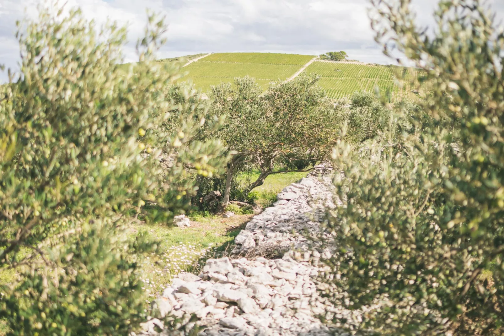 Adriatic Heritage Glamping No 1 - Gebieden zomer 5km