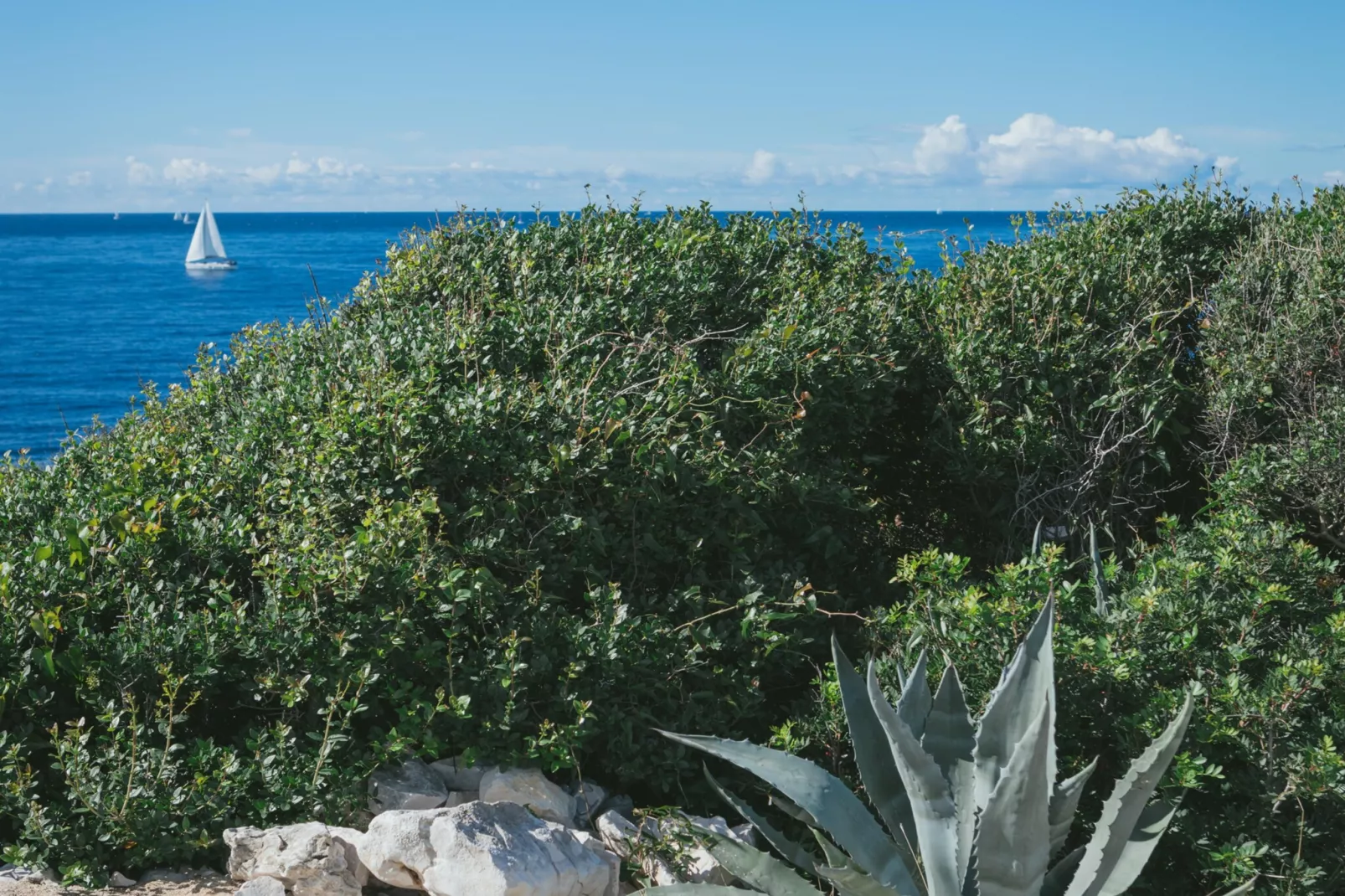 Adriatic Heritage Glamping No 1 - Gebieden zomer 5km