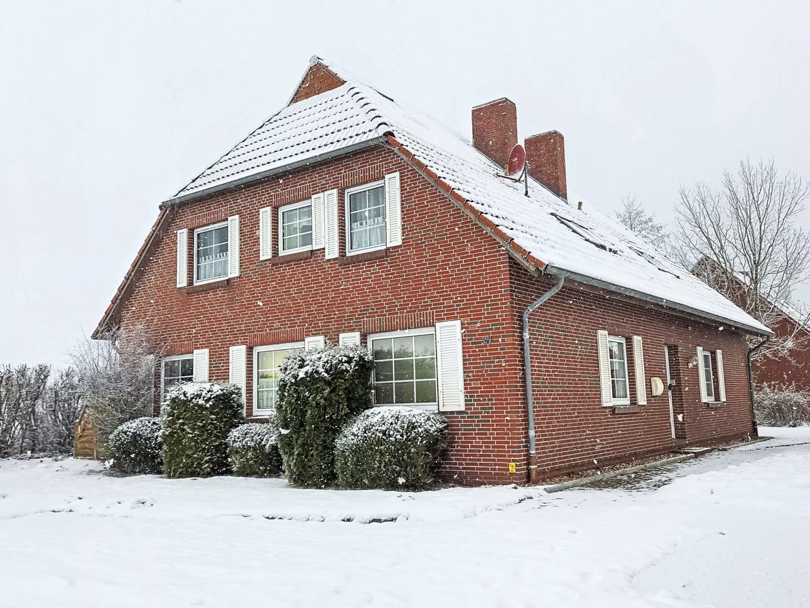 Seepferdchen - Buiten