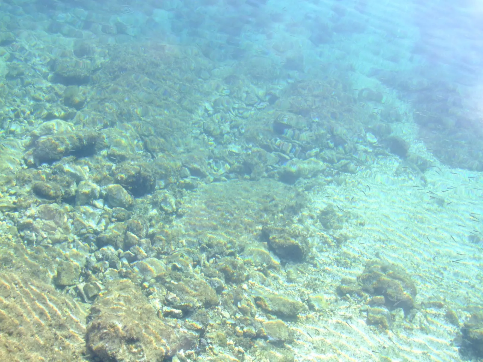 Mit Pool in Lukovo Sugarje - Image-tags.info