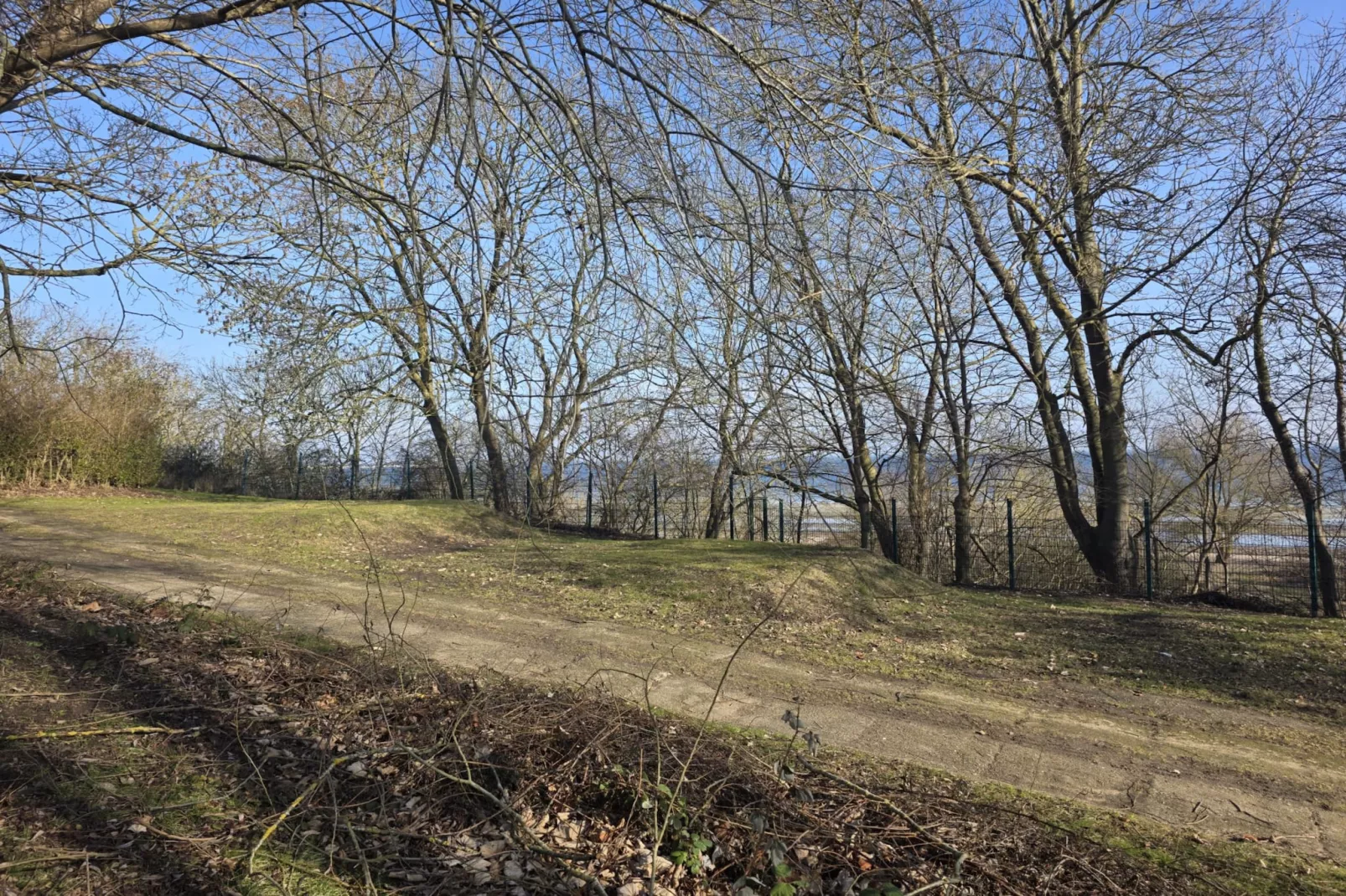 Ferienpark an der Ostsee - FW am Badestrand - Uitzicht zomer