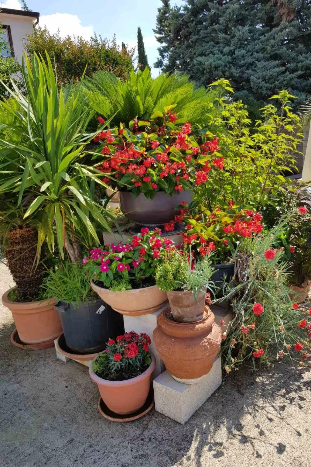 Wohnung mit Schwimmbad - Image-tags.info