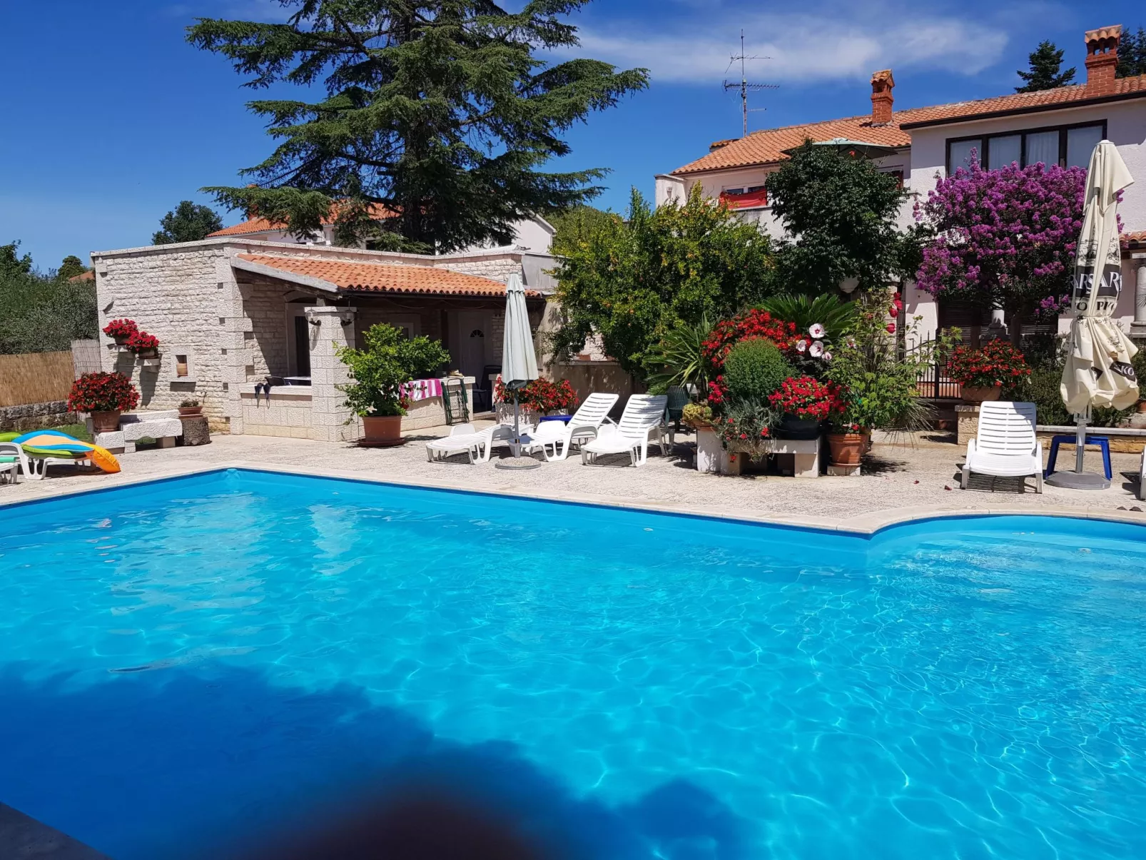 Wohnung mit Schwimmbad - Image-tags.info