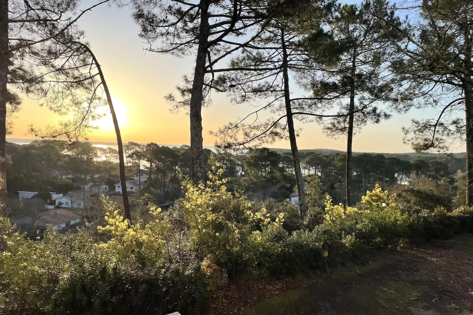 Villa Bellevue - Uitzicht zomer