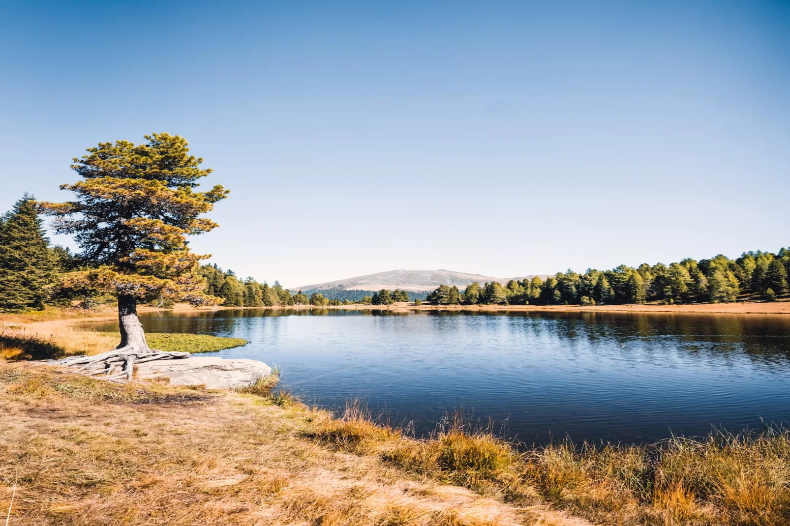 Naturchalets Turracher Höhe 55 - Buitenlucht