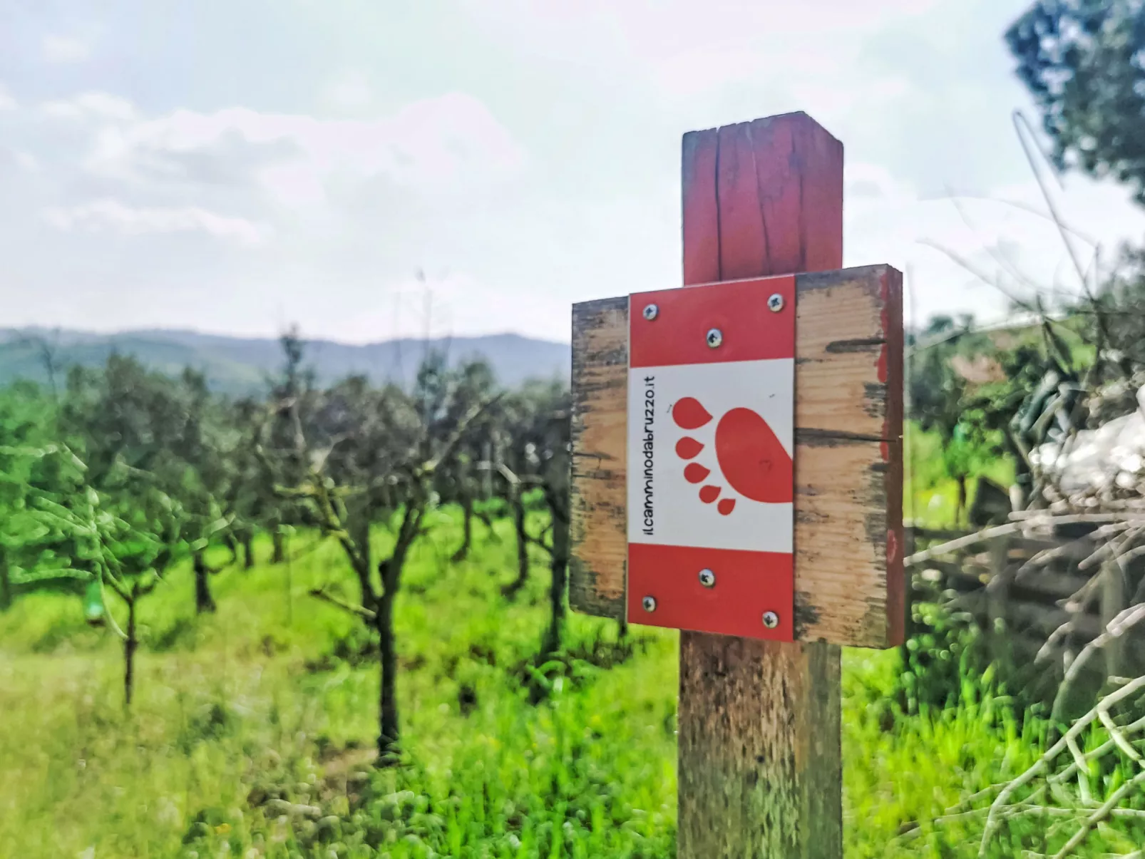 Velia's House - Buiten