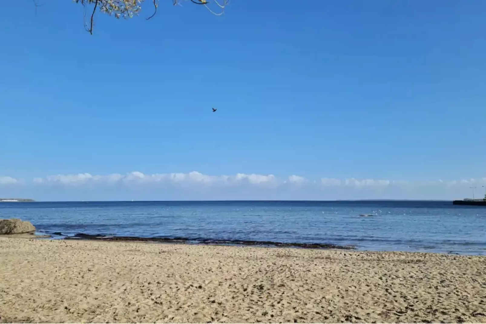 Feriendorf an der Ostsee - Fewo Typ 5 60 qm - Gebieden zomer 1km