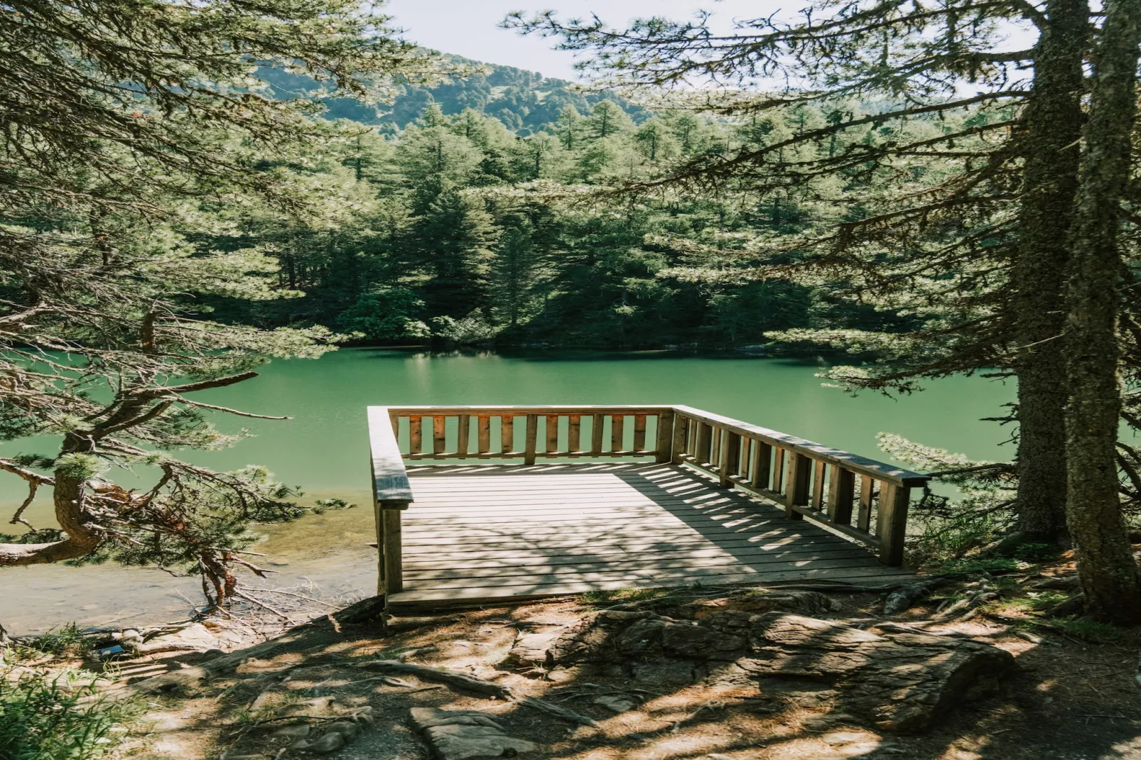 Naturchalets Turracher Höhe 53 - Buitenlucht