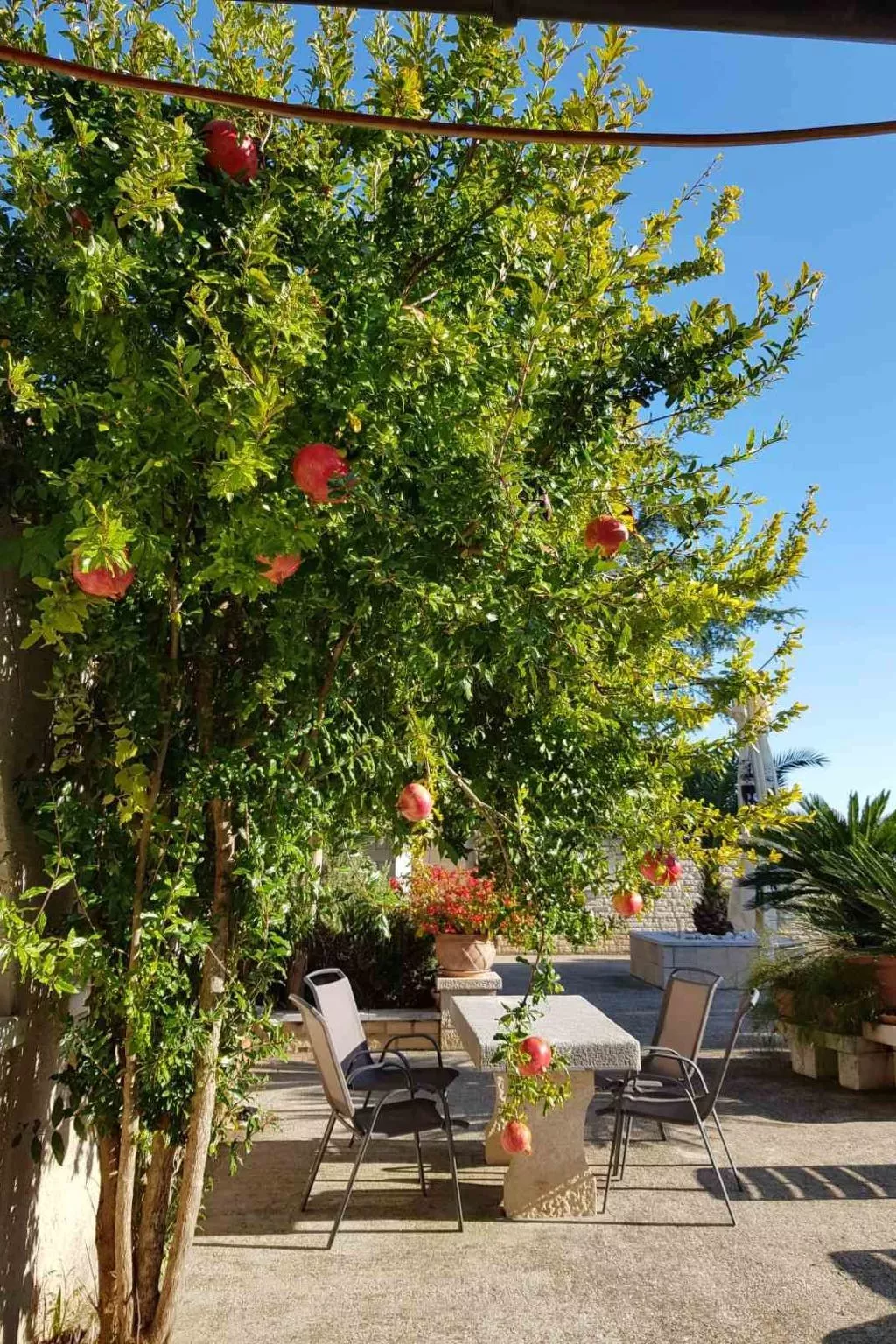 Wohnung mit Schwimmbad - Image-tags.info