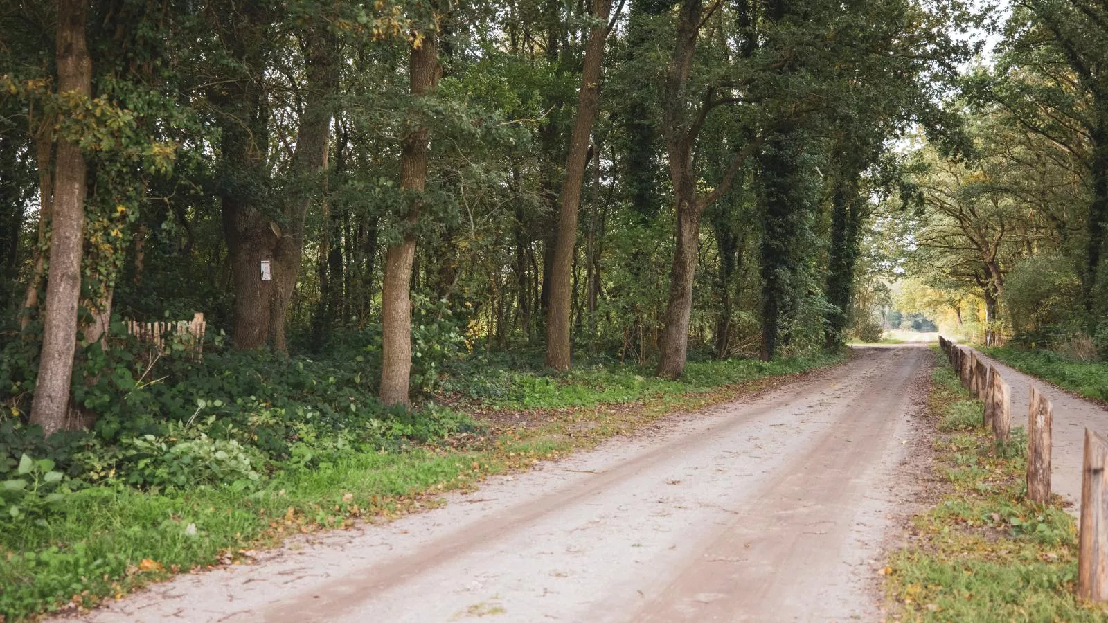 Boshuisje Kniphorst-Gebieden zomer 1km