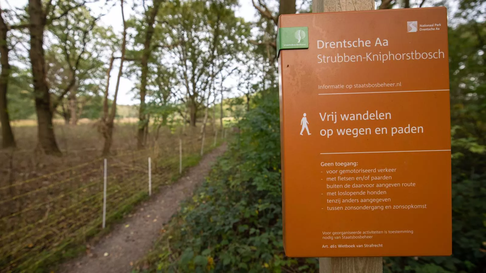 Boshuisje Kniphorst-Gebieden zomer 1km