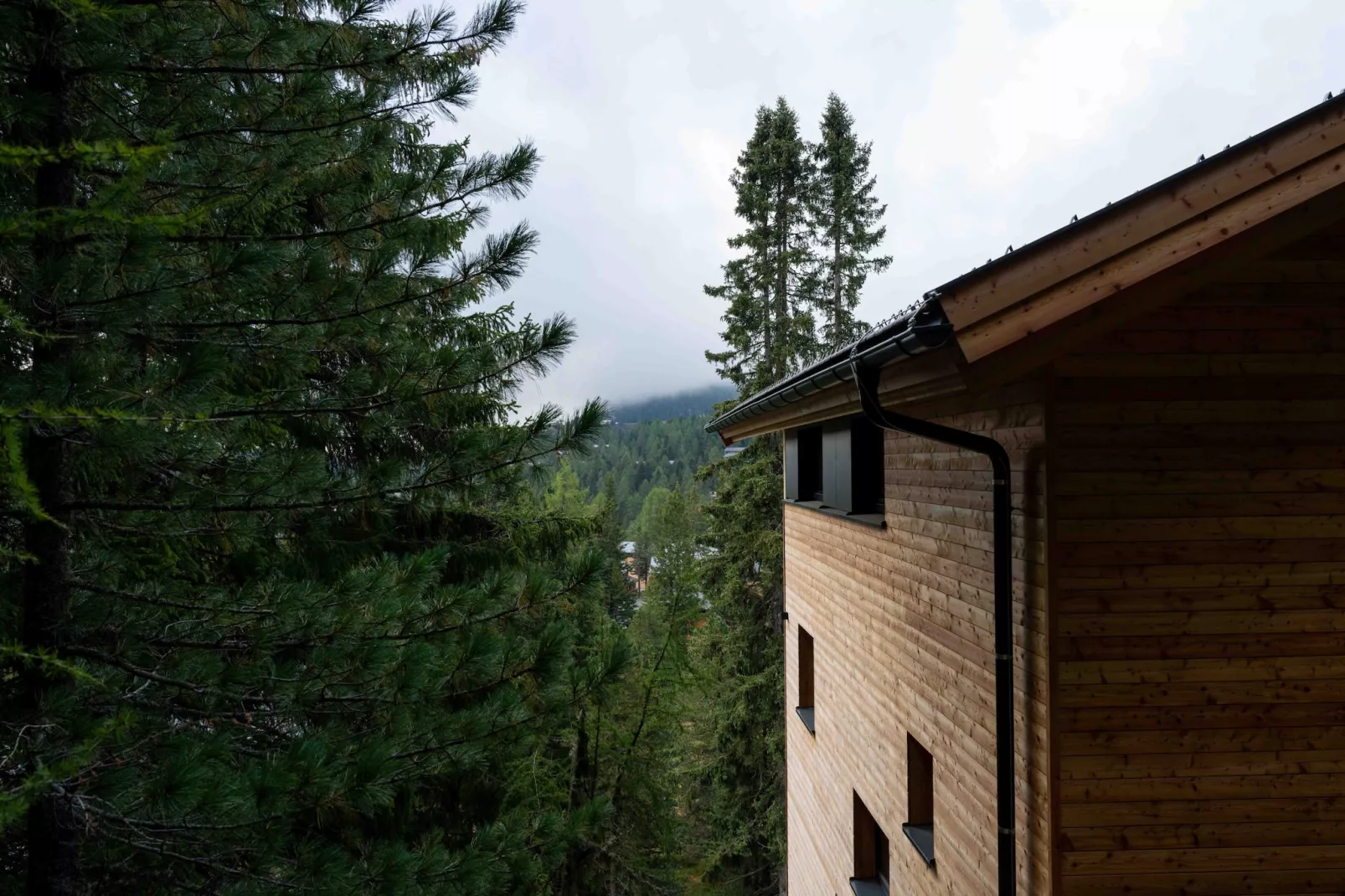 Naturchalets Turracher Höhe 32 - Buitenlucht
