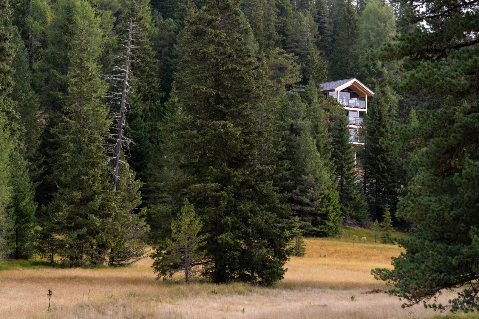 Naturchalets Turracher Höhe 32 - Buitenlucht
