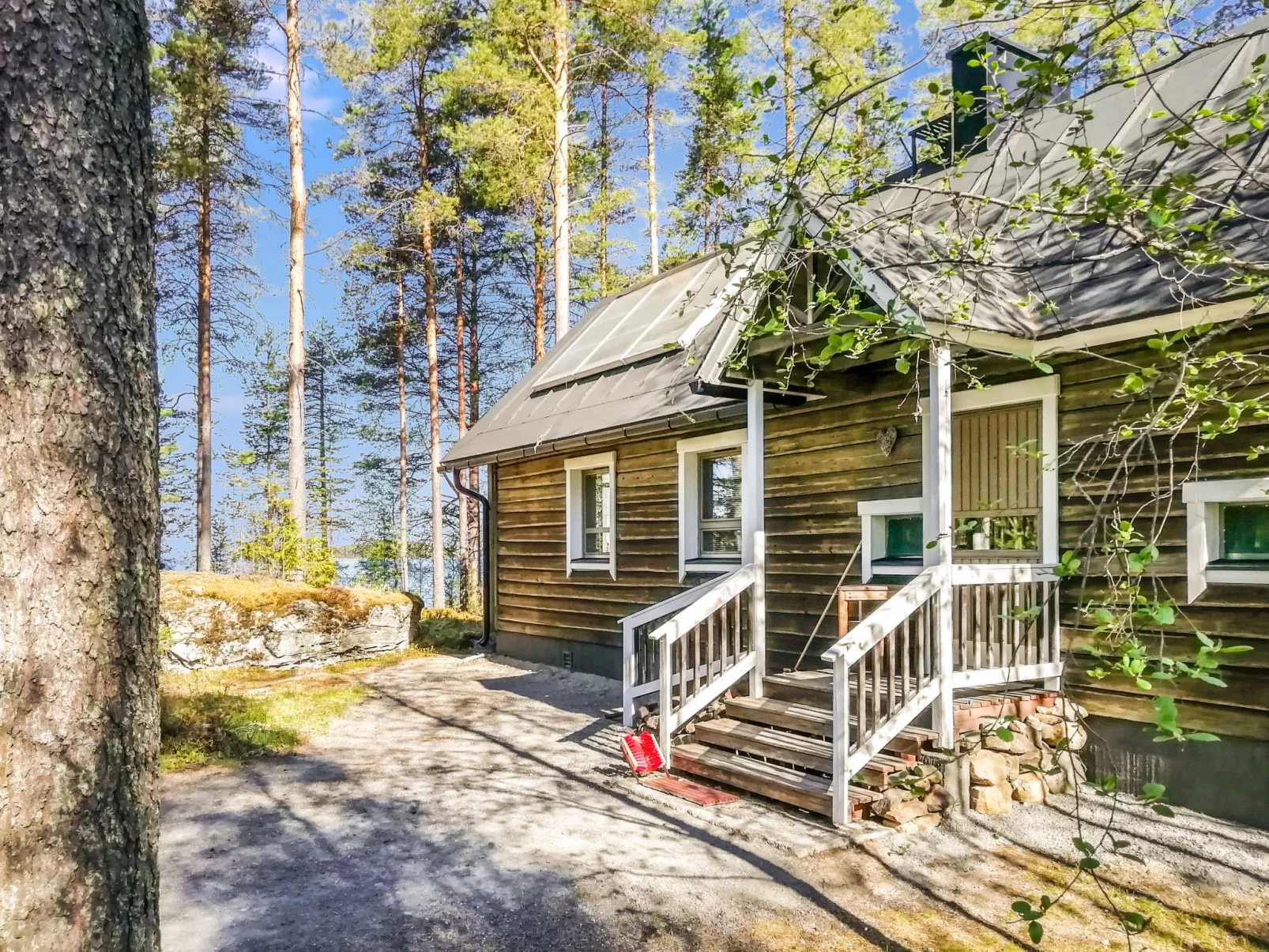 Luhtalemmikki - Binnen