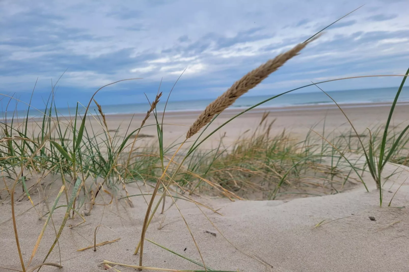 9 persoons vakantie huis in Hirtshals-By Traum