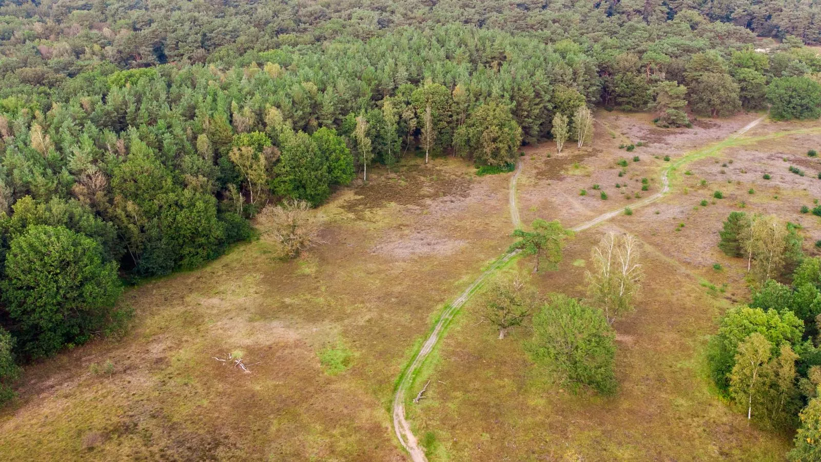 Glamping Kniphorst-Gebieden zomer 1km