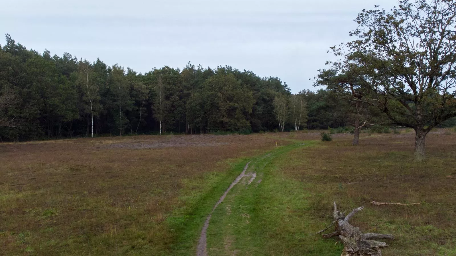 Glamping Kniphorst-Gebieden zomer 1km