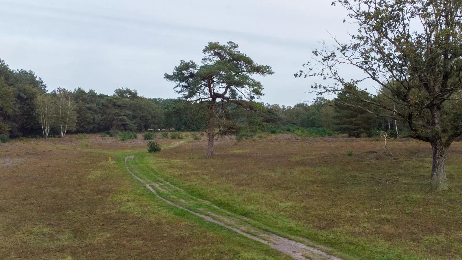 Glamping Kniphorst-Gebieden zomer 1km