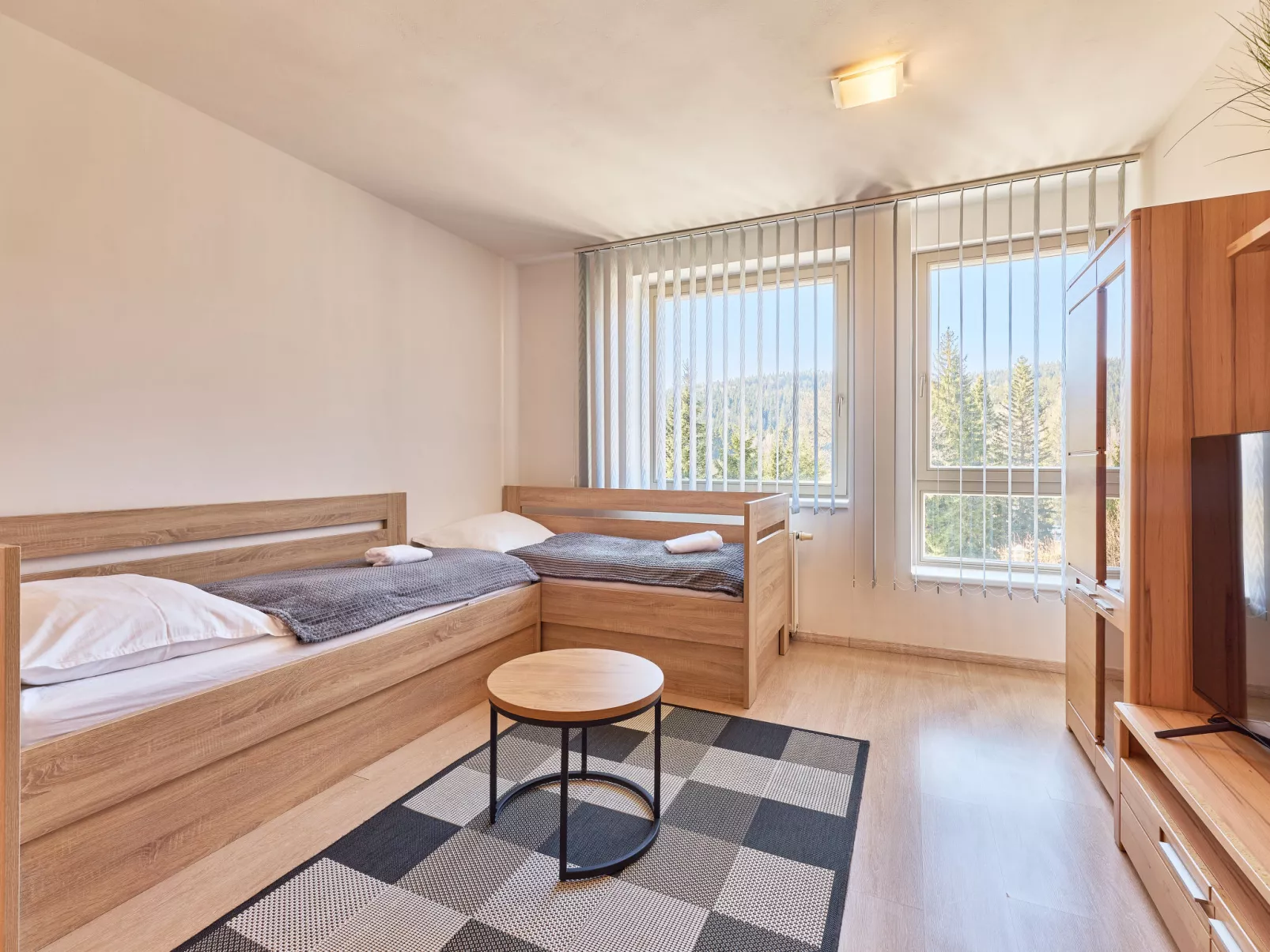 Harrachov Resident A - Binnen