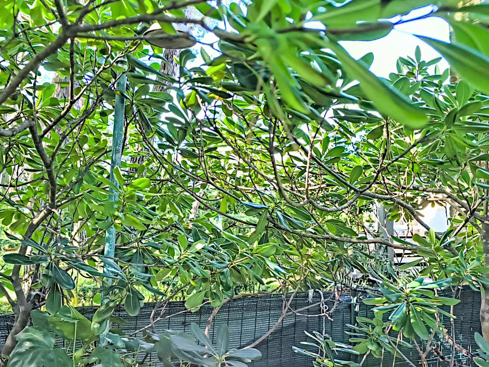 Il giardino alle Rocchette - Buiten