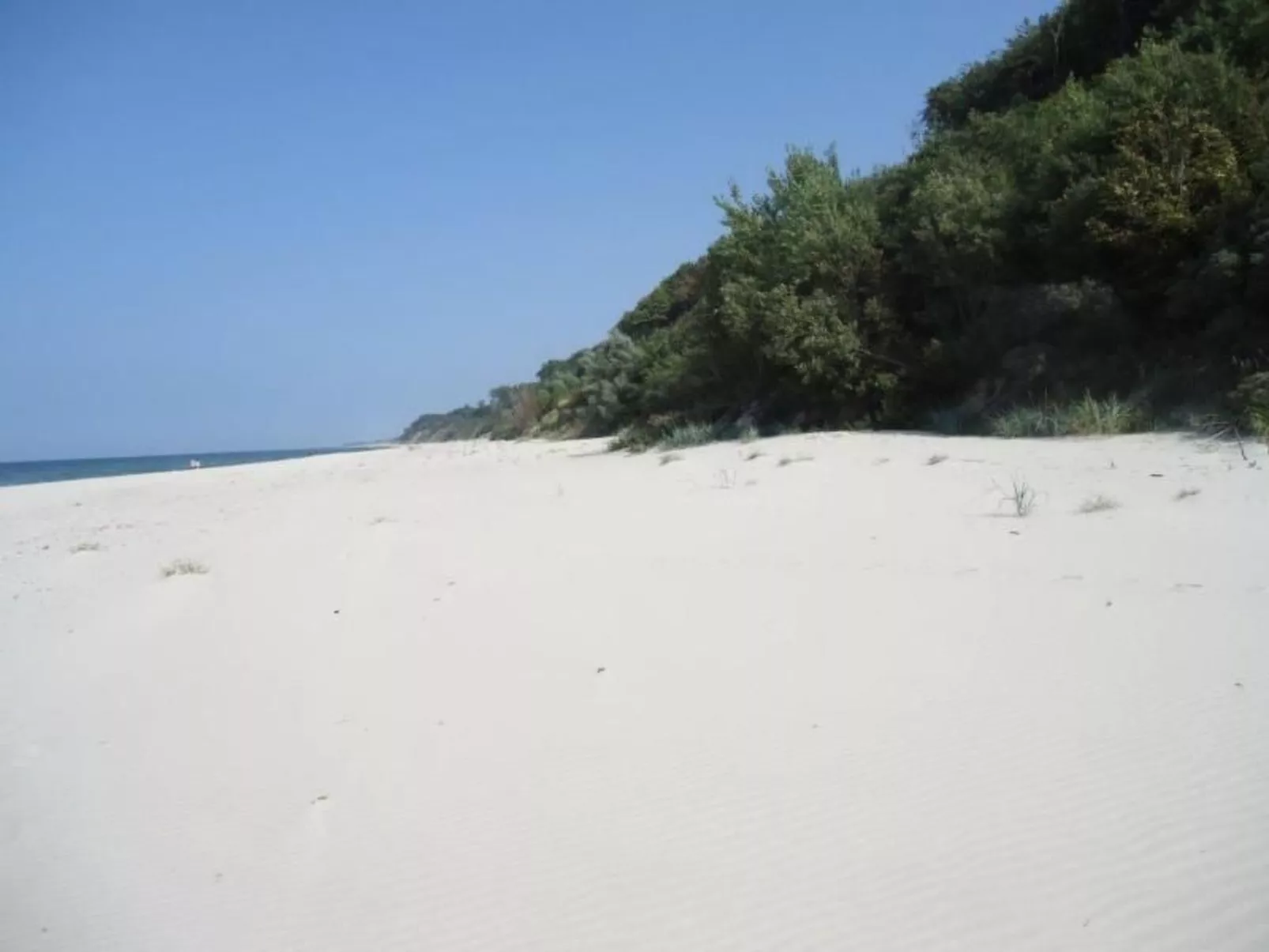 Charmantes Appartement in Rowy mit Grill, Garten - Buiten