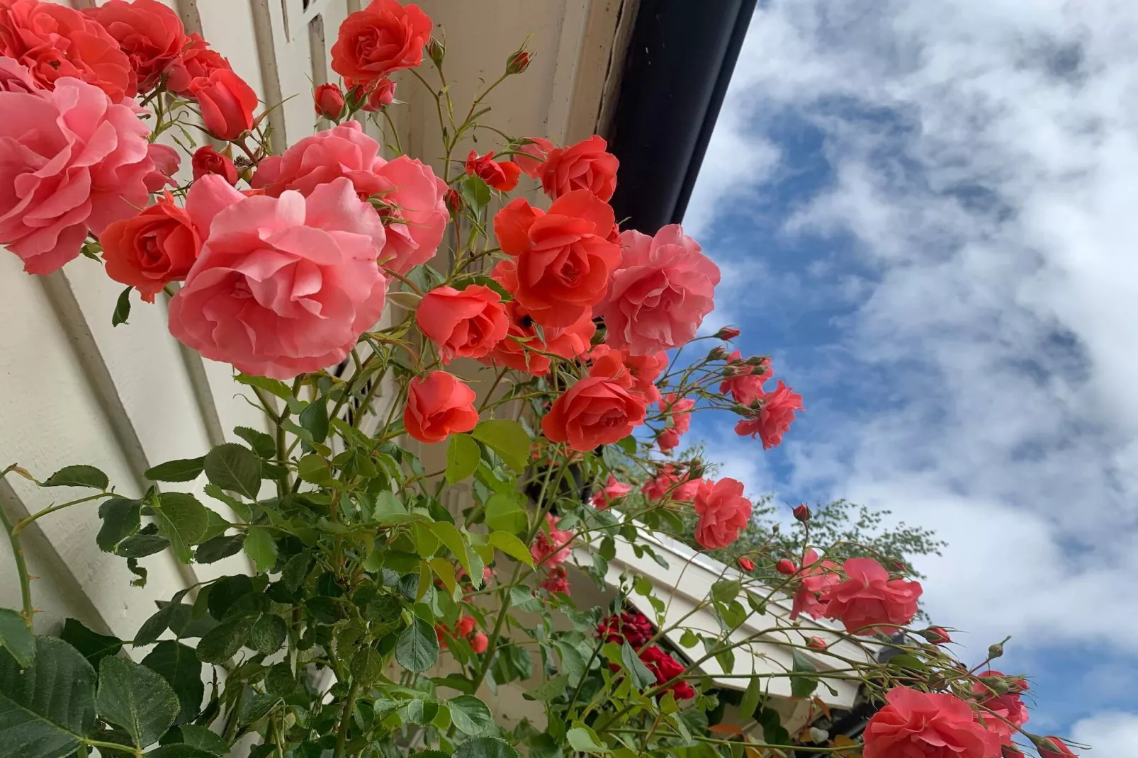 4 sterren vakantie huis in FÄRJESTADEN - Buitenlucht