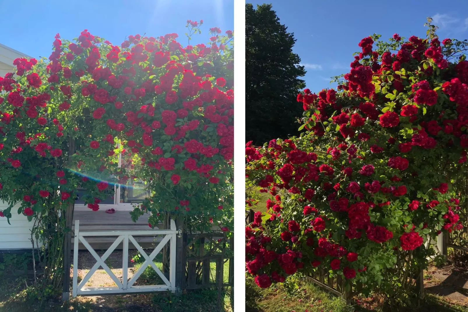 4 sterren vakantie huis in FÄRJESTADEN - Buitenlucht