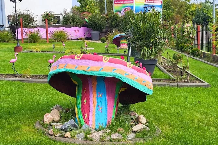 Domy wakacyjne dla max 4 osób w Dębinie - Tuinen zomer