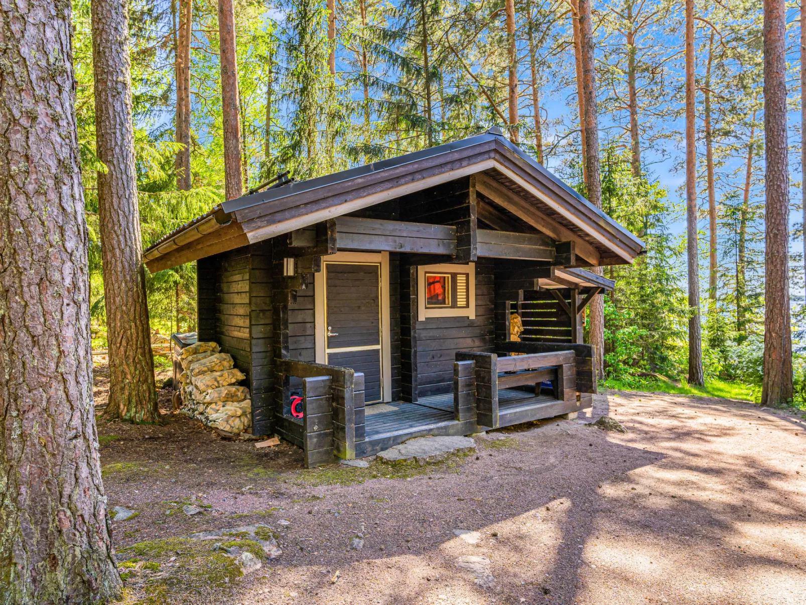 Villa skitunäs - Binnen