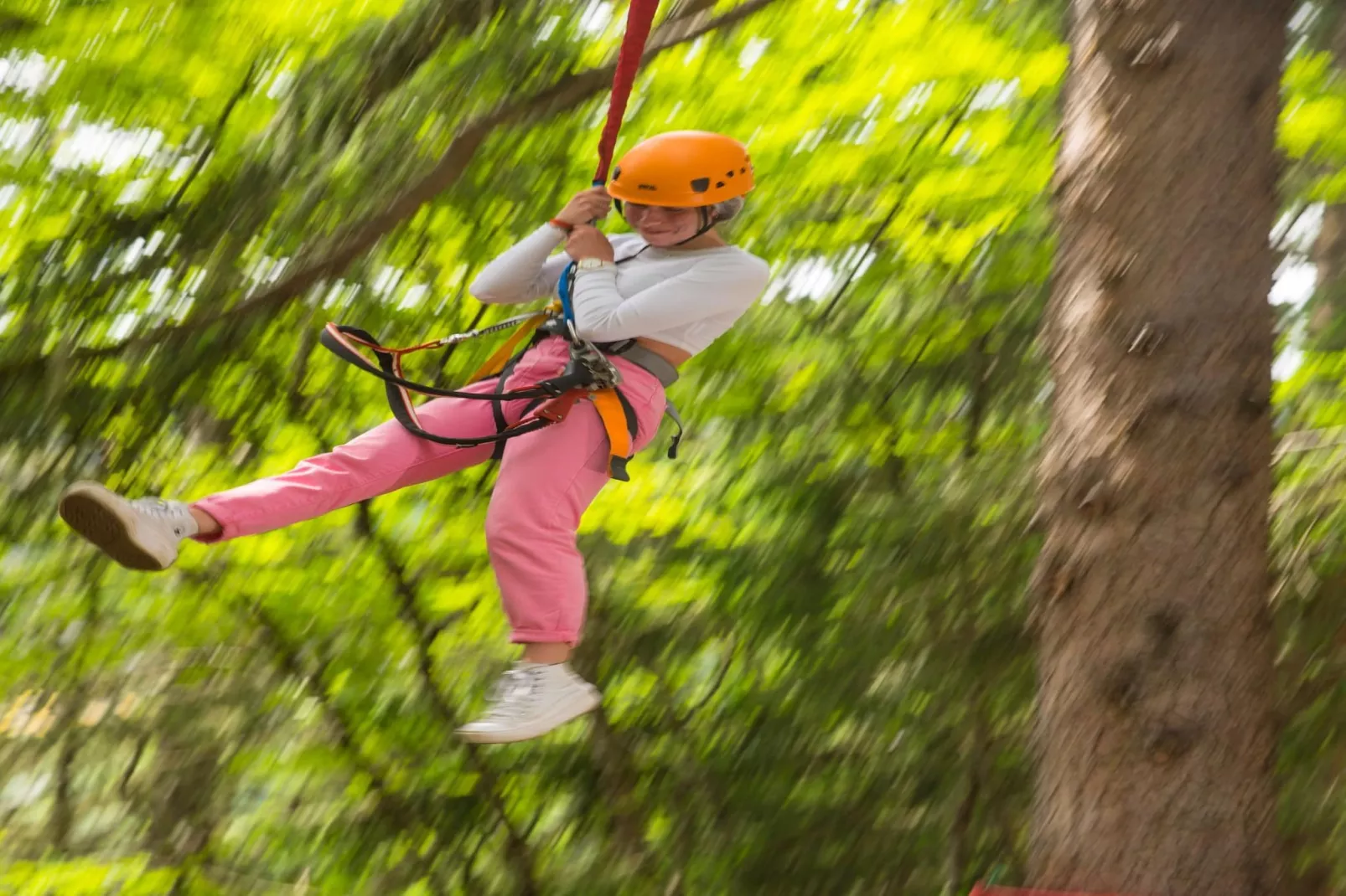 FLAINE Chambre 3 personnes C3 - Faciliteiten